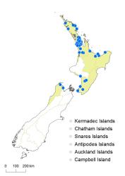 Nephrolepis cordifolia distribution map based on databased records at AK, CHR, WELT & UNITEC.
 Image: K.Boardman © Landcare Research 2018 CC BY 4.0